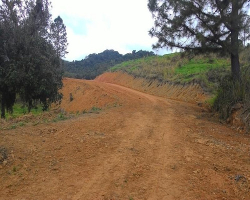 Imagem 21 de 30 de Fazenda - 0195 - 32820324