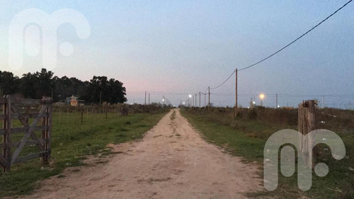 Imagen 7 de 19 de Terreno - Arana