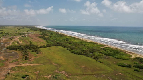 Imagen 9 de 19 de Vende Terreno En Chichiriviche Norte