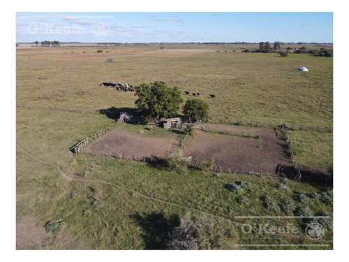 Imagen 7 de 16 de Campo Mixto De 280 Has En Venta Con Inmejorable Acceso Sobre Asfalto En Ranchos - Oportunidad !