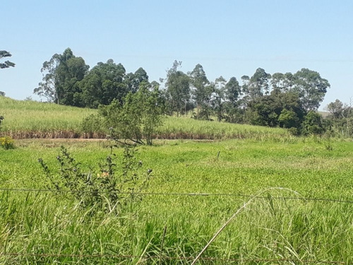 Imagem 28 de 30 de Sítio À Venda, 36300 M² Por R$ 850.000,00 - Zona Rural - Charqueada/sp - Si0008