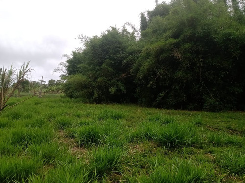 Imagem 17 de 27 de Chácara 10,000m2,muita Água,nascente Fundos,casa Sem Terminar,4 Kms Do Asfalto,bairro Vatinga - Ch00040 - 68898851