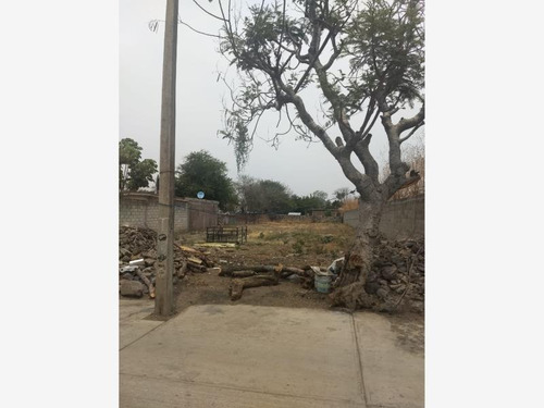 Imagen 9 de 10 de Terreno En Venta Pazulco