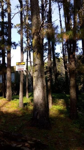 Imagen 2 de 5 de Terreno En Venta En Mar Azul