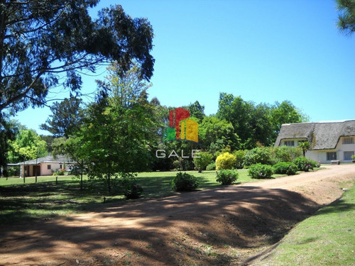 Imagen 3 de 30 de Venta Chacra Punta Del Este - Zona Rural