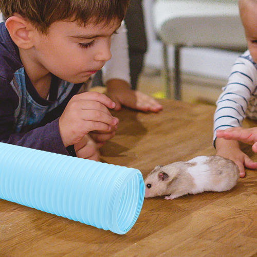 Pet Rabbit Toys, Tubo De Entrenamiento Para Hámsteres, Túnel