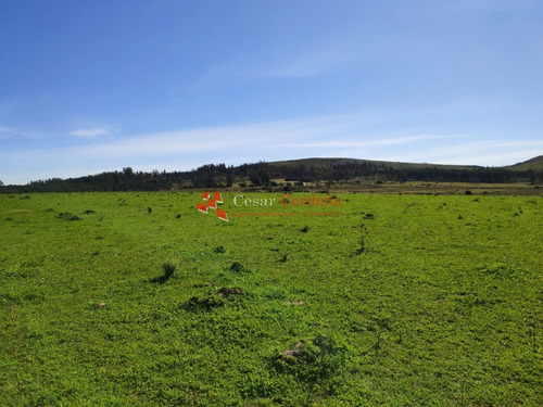Venta - Chacra De 10 Has En Zona De Paraje De Los Ceibos- Ref: 1418