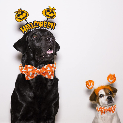 Collar Para Perros Lionheart Glory Halloween Con Pajarita Pa