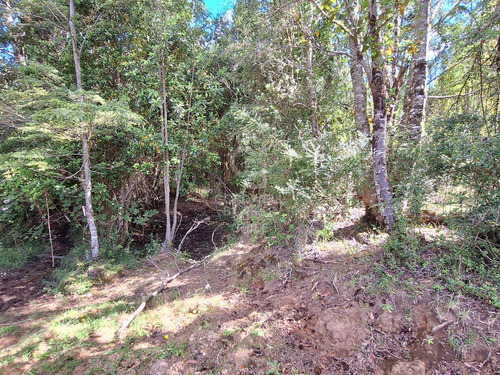 Campo Con Casa En Fresia, Excelente Inversión