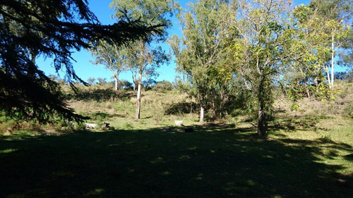 Terreno - Villa Del Dique