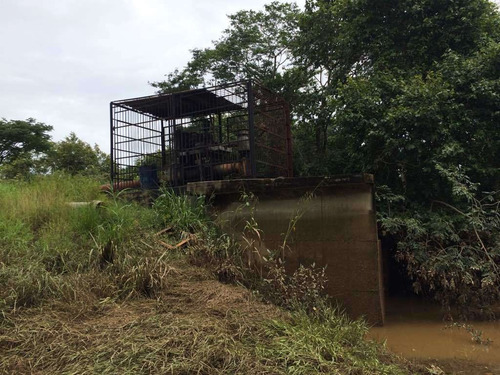 Imagen 11 de 21 de Finca Cerca De Rio Tiznado A 50 Km De Calabozo