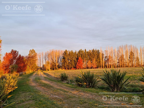 Imagen 8 de 30 de Chacra En Venta De 17 Has En San Andres De Giles. Excelente Casco