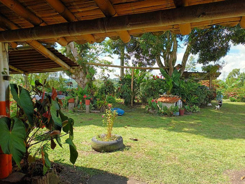 Imagen 21 de 30 de Venta De Finca En Pereira Vereda Combia .