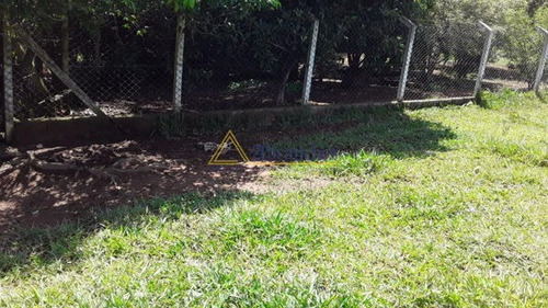 Imagem 6 de 6 de Terreno - Ref: V040021