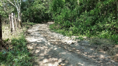 Imagen 7 de 12 de Rancho Las Piedras