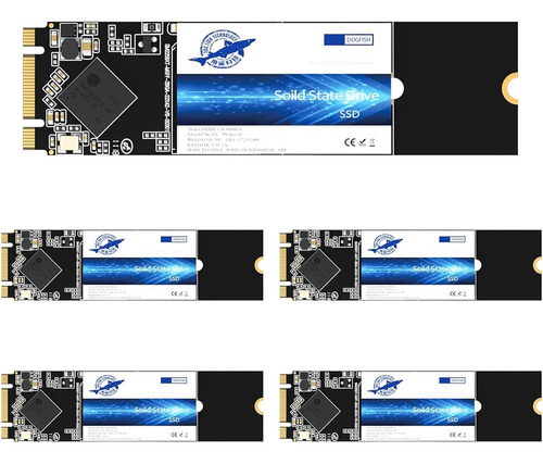 Dogfish M.2 Ssd 64gb Sata Iii 6 Gb/s, M.2 (2280mm) Unidad De