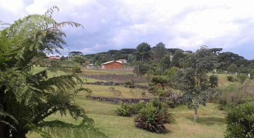 Imagem 2 de 11 de Terreno Para Venda Em São Francisco De Paula, Centro - Cwvt0230_2-1483305