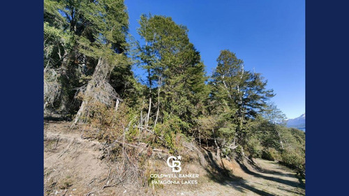 Imagen 8 de 23 de Venta Lote/terreno Fracción De 6500,24 M2 Vista Al Lago Faldeo Del Bayo Villa La Angostura