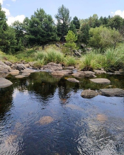 Imagen 5 de 6 de 1 Hectarea 2000m2 Con Costa De Río