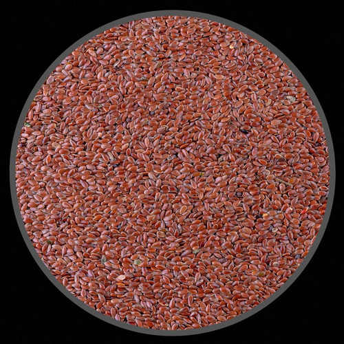 Semente Limpa De Linhaça - 500g