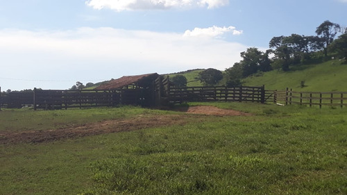 Imagem 28 de 30 de Vendo Fazenda Dupla Aptidao Regiao De Poços De Caldas (6176 )
