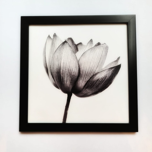 Imagen 2 de 2 de Cuadros Decorativos - Fotos Personalizadas - 20x25