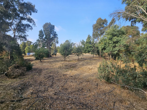 Vendo Sitio De 5580 M2 En Queronque Los Laureles Limache.