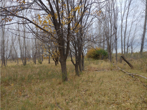 Vendo Finca Monte Coman