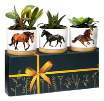 Comprar Jardineras De Caballos, Regalos De Caballos Para Niñas, De