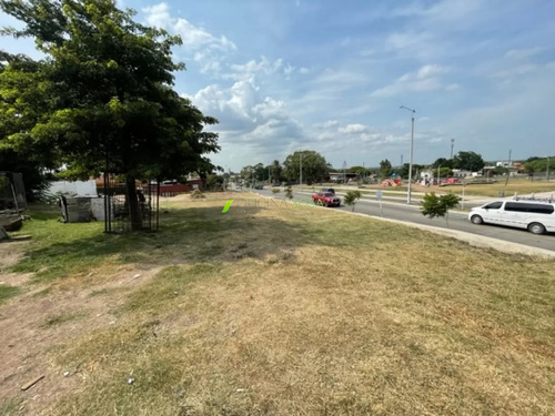 Terreno De 981 Metros Sobre Avenida Cibils Prox A Carlos M Ramirez