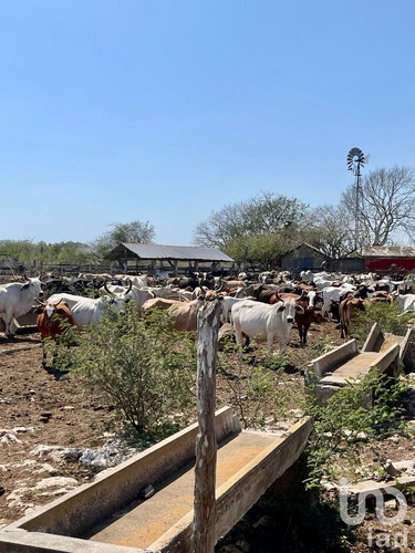 Venta Rancho 2 Ambientes Panaba