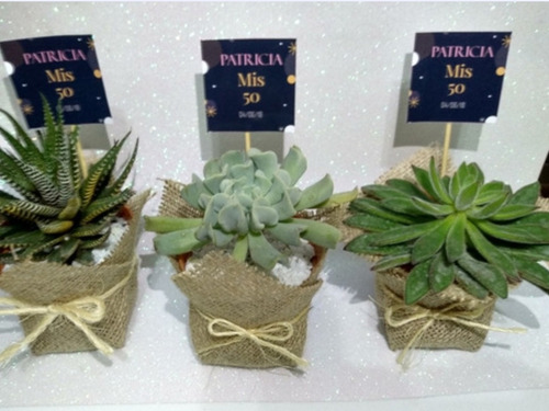 Souvenir Suculentas N10 Naturales Plantas Eventos Isiflor