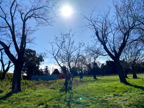 Terreno En Mariano Acosta