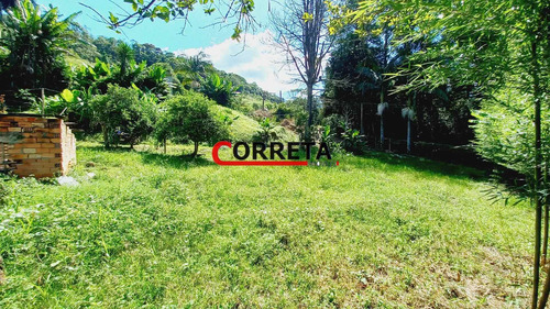 Imagem 12 de 13 de Vendo Chacara Terreno De 2600 M² Com Lago Em Ibiúna-sp - 520