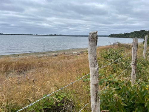 Agrícola En Venta En Ancud