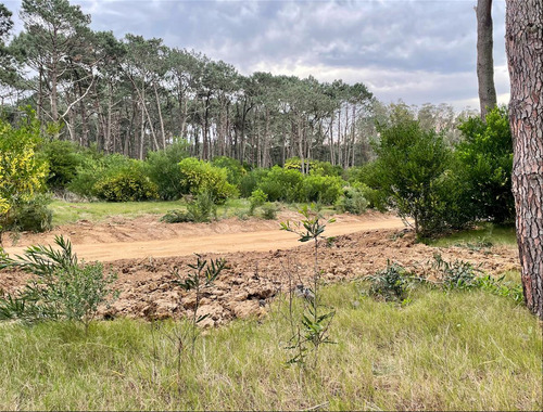 Venta Terreno En Barrio Privado Reserva Montoya