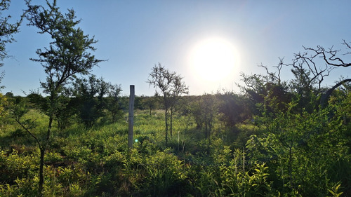 Lote En Jose De La Quintana 