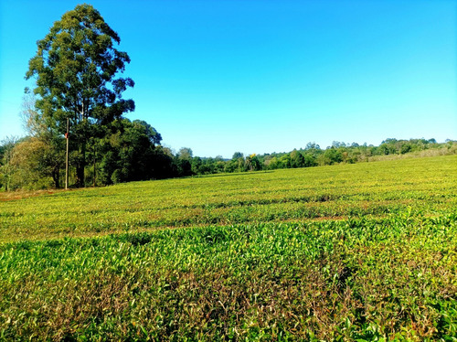 Vendo Chacra De 5,70 Hectareas De Te