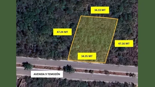 comprar Terreno En Renta