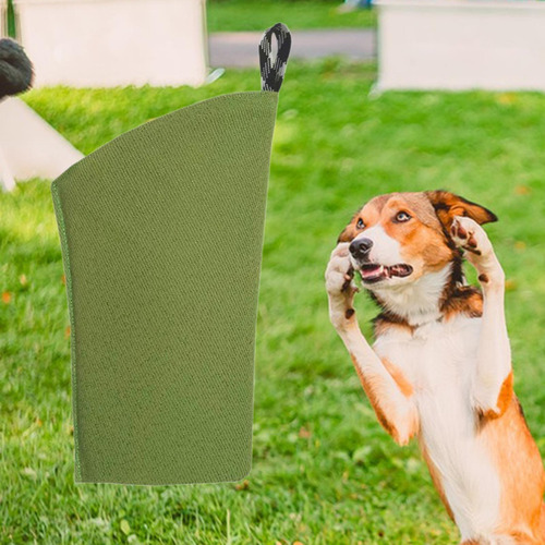 Manga De Entrenamiento Para Perros, Manga De Verde