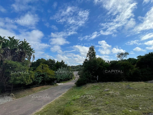 Imagen 3 de 6 de Terreno En Punta Ballena En Venta - Punta Ballena Punta Ballena