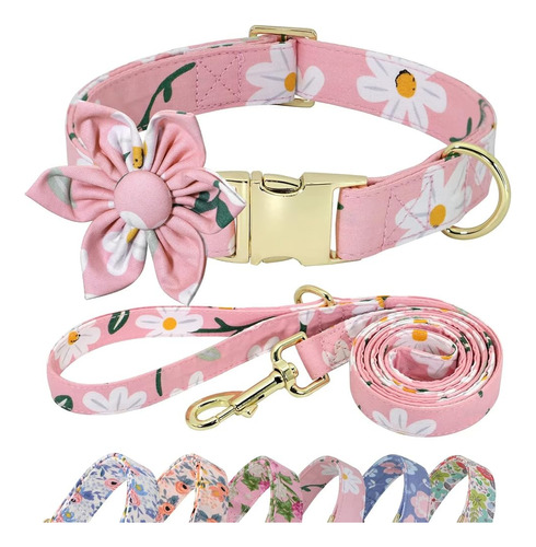 Beirui Cute Girl Dog Collar And Leash Set For Female Dogs- C