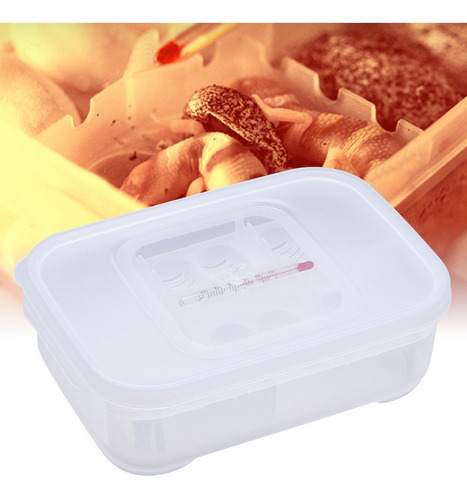 Incubadora De Huevos De Reptiles, Lagartos Serpientes Caja D