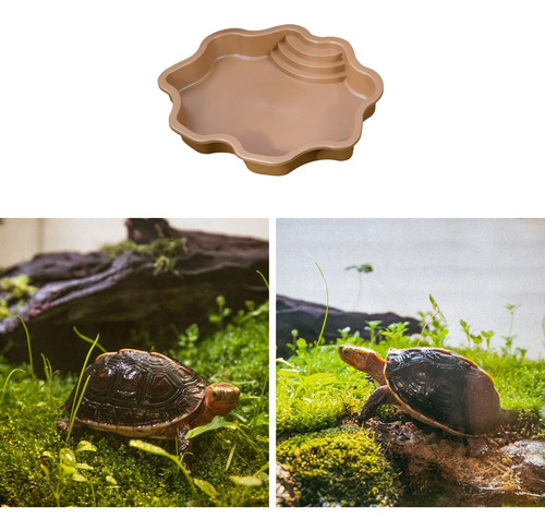 Terrarium Bowl Turtle Bath Decorations Reptile Light Brown