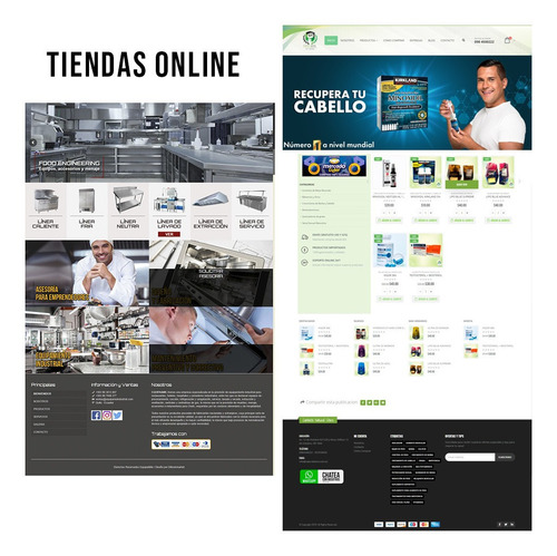 Imagen 5 de 10 de Diseño De Paginas Web / Tiendas Online / Publicidad Digital