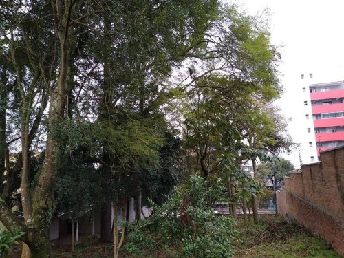 Imagem 7 de 7 de Terreno - Centro - Ref: 7652 - V-7652