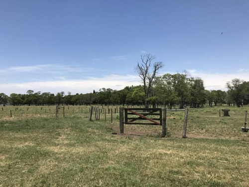 Oportunidad Única Venta De Campo Sobre Ruta Nacional 8 - Duggan, San Antonio De Areco - Mallmann Pro