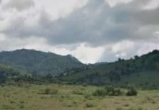 Imagen 5 de 7 de Vendo Terreno Ideal Para Siembras O Pasto