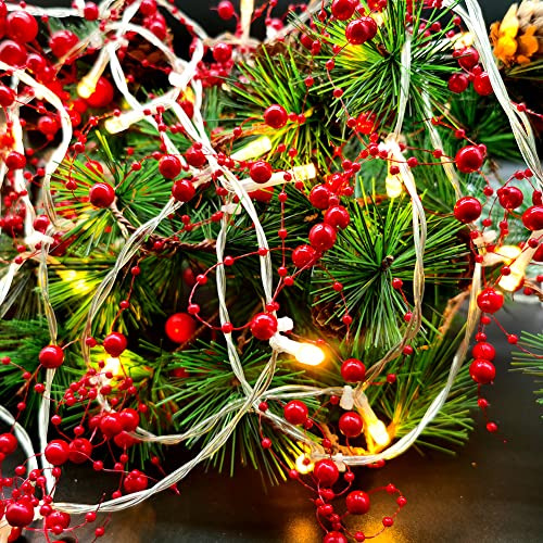 Luces De Hadas De Perlas De Océano De Navidad De 20 Pi...