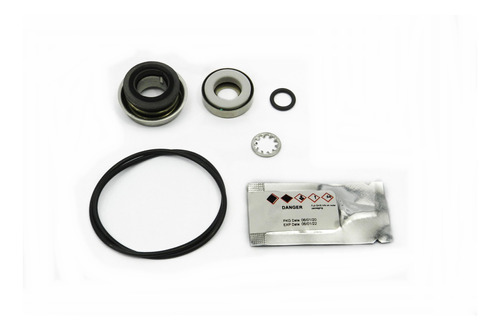 Kit Reparacion Para Serie Fmcsc-200 205700816 Ace Pumps
